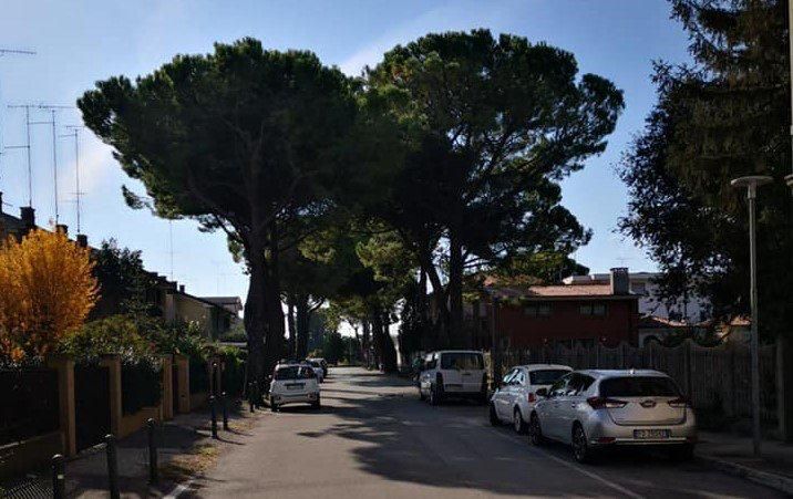 Immagine per Morsolin attacca, «A Monfalcone verde disastroso, serve un piano credibile»